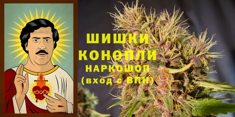 купить наркотики цена  blacksprut зеркало  Марихуана Amnesia  Правдинск 